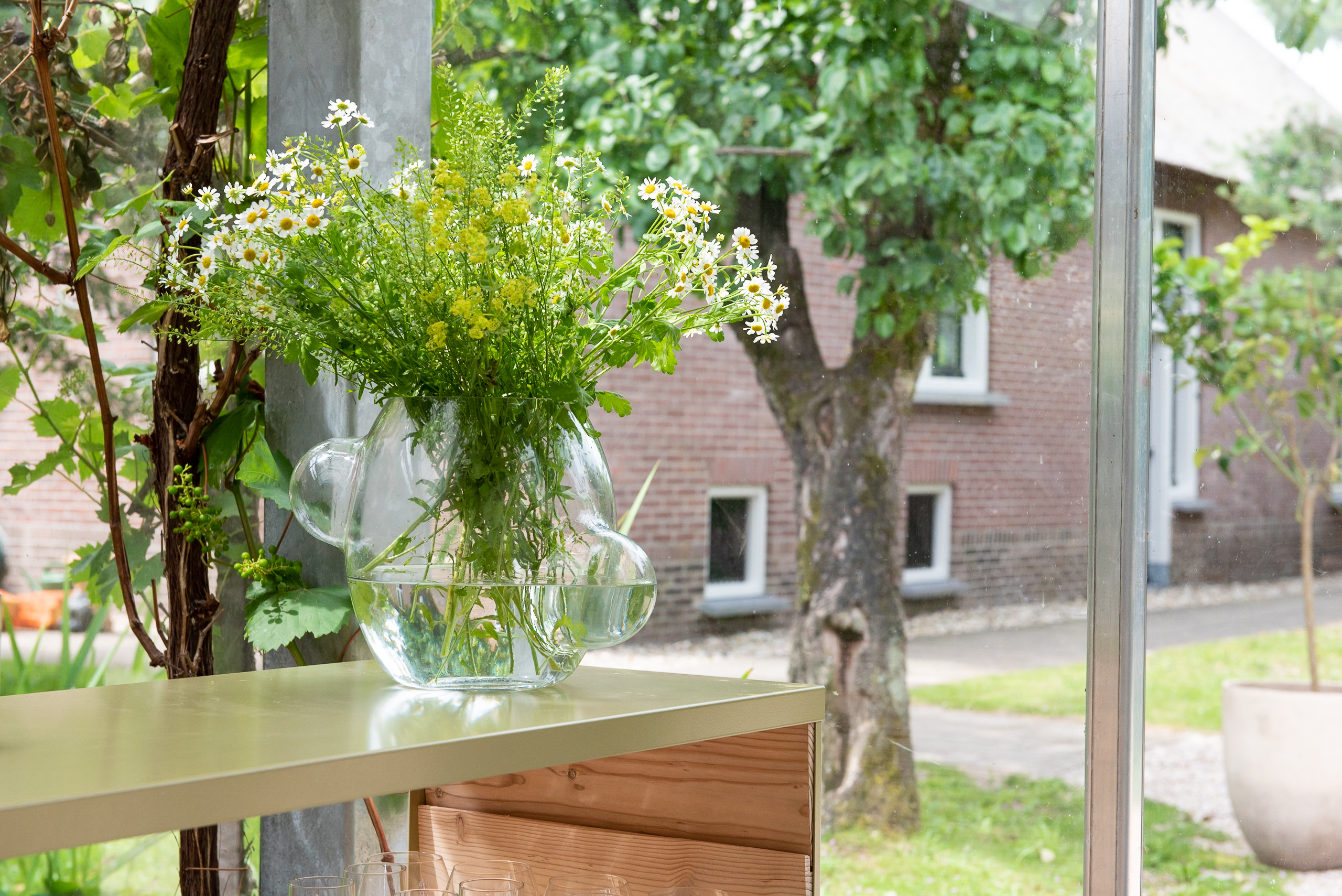 Local-Habitat-discovery-observation-Weltevree