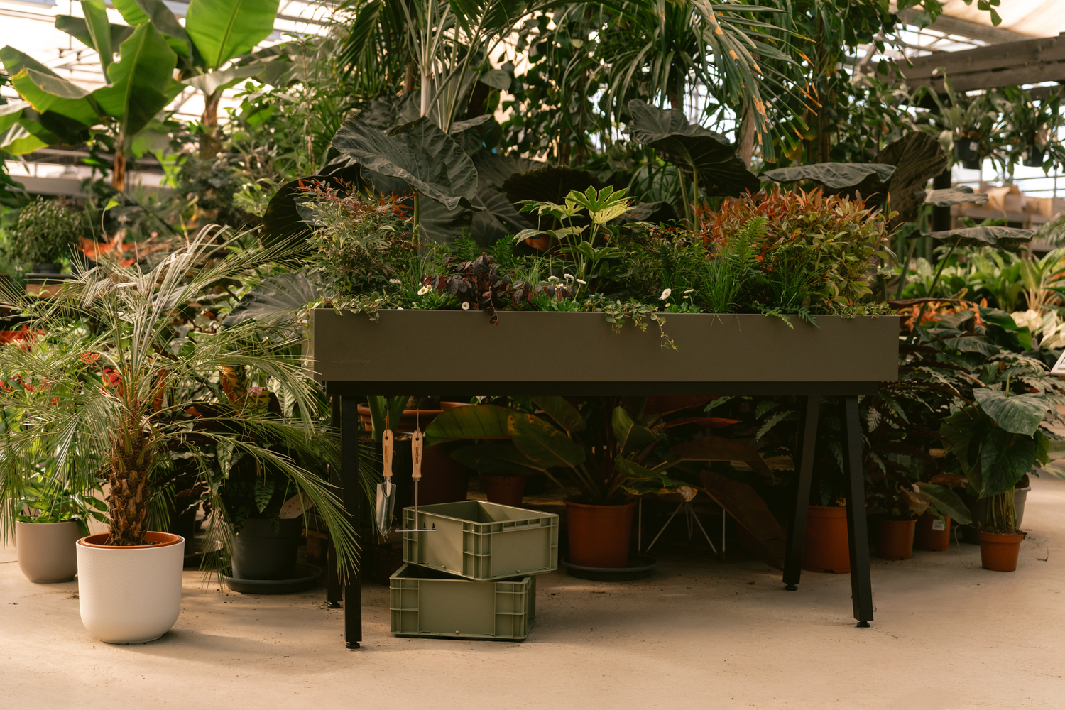 Chapter 3. 'Additional tips and facts' - Gardening tips by expert Floor Korte - Floor's Moestuin
